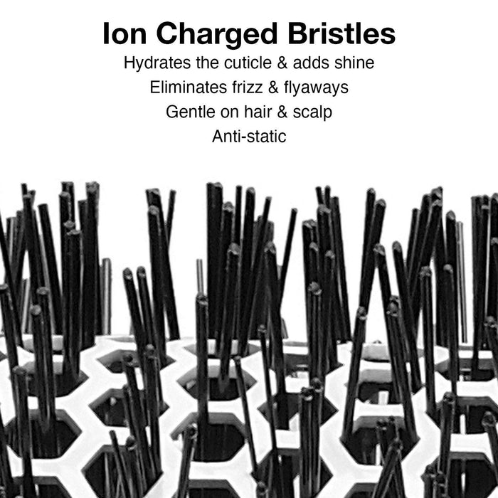 Ion Charged Bristles