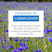 Active Ingredient Cornflower