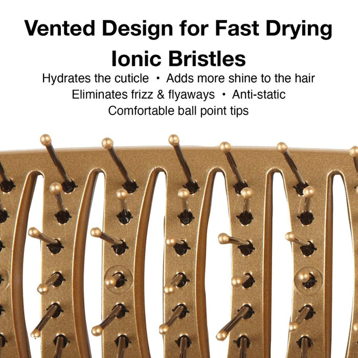 Vented for fast drying w/ ionic bristles